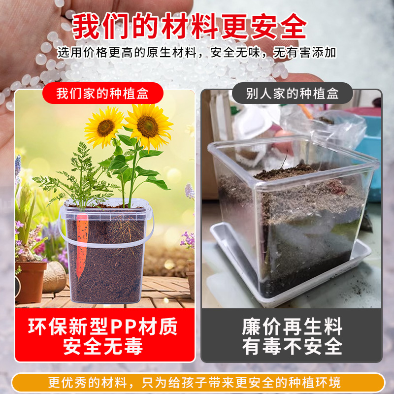 儿童种植小盆栽学生植物生长观察日记盒向日葵种孑套餐幼儿园礼物 - 图0