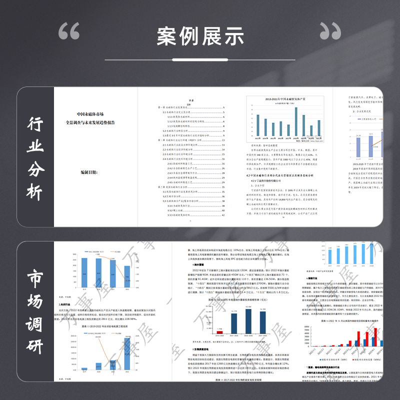 代写行业分析报告市场调研个股金融案例竞品数据分析行业研究报告