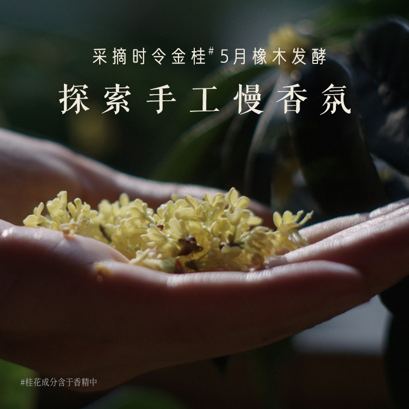 发之食谱桂花香氛洗发水控油蓬松洗发露无硅油洗头膏时光桂雨-图3