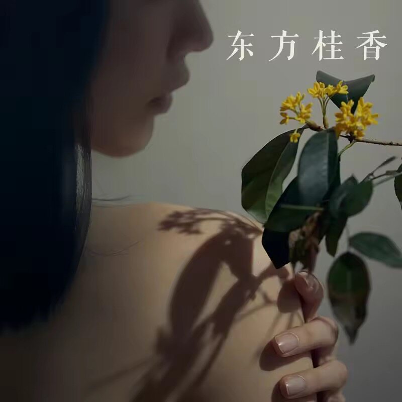 20一瓶！发之食谱桂花洗发水280m