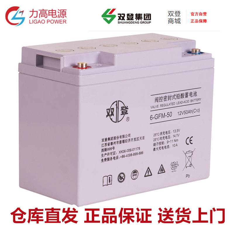 双登蓄电池 6-GFM-100B/12V100Ah/12伏26a65a38a24a150AH安时铅酸 - 图1