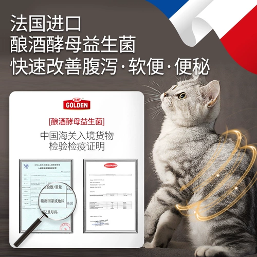 谷登 Брэдильские дрожжевые пробиотические кошки, кондиционирующие желудочно -кишечные кошки, посвященные желудочно -кишечным кошкам, разбавленную рвоту, рвоту и мягкий аппетит