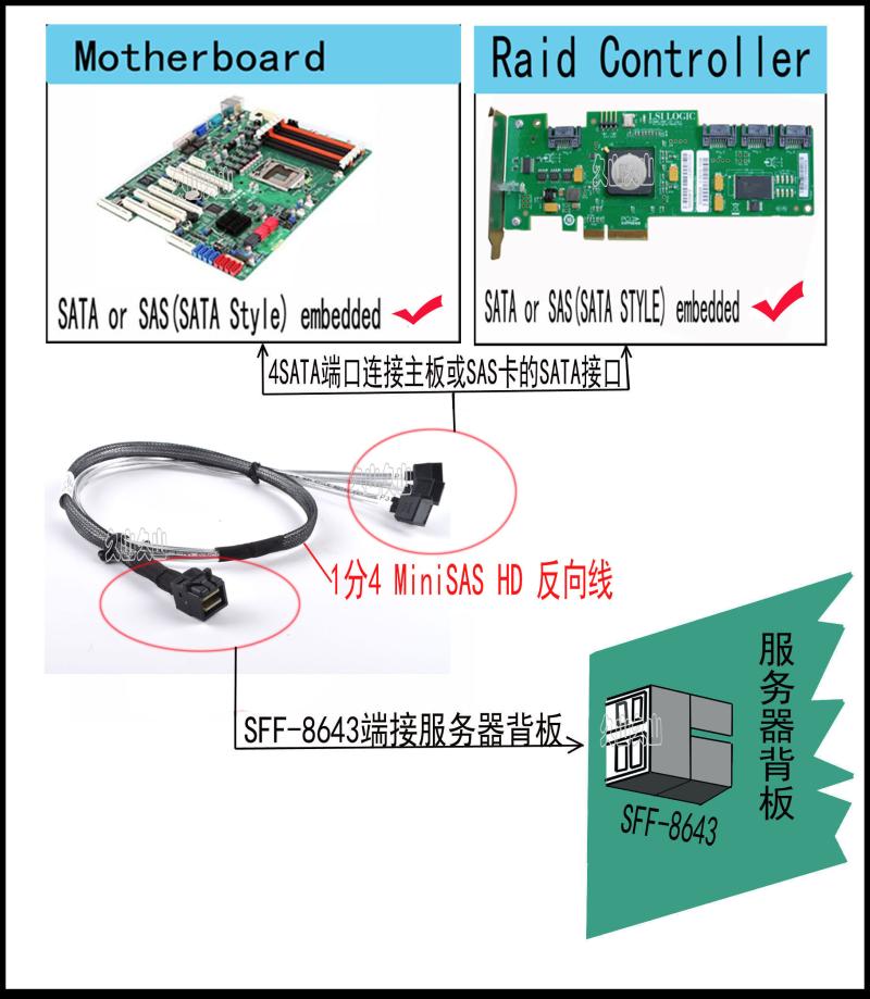 安费诺反向Mini SAS线主板4个SATA转SFF-8643背板12G逆向数据线-图3