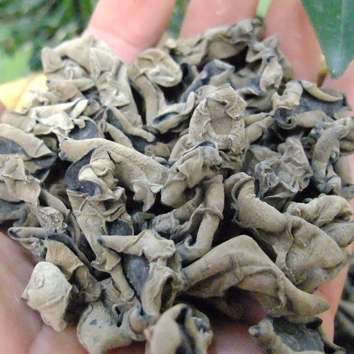 井冈云耳肥厚小碗耳干货椴木黑木耳小木耳散装秋石耳250g江西特产 - 图1
