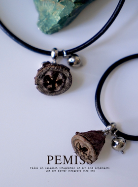 植物中药项链果实中药皮绳