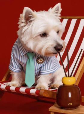 UT她宠物友好萌宠无火香薰室内猫咪植物精油香氛家居扩香摆件批发