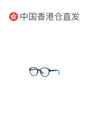 香港直邮EMPORIO ARMANI 男士太阳镜 EA32025088 AW2024 蓝色