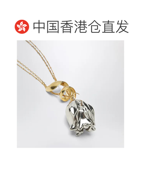 香港直邮CHLOÉ 女士项链 CH26WJN48CB79DX AW2026 支付后1h可退