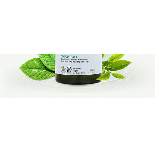 香港直邮avalon organics茶树精油头皮调理洗发水946ml清洁温和 - 图1