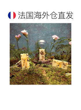 欧洲直邮Santa Maria Novella圣玛利亚手工香薰蜡片2片黄色简约