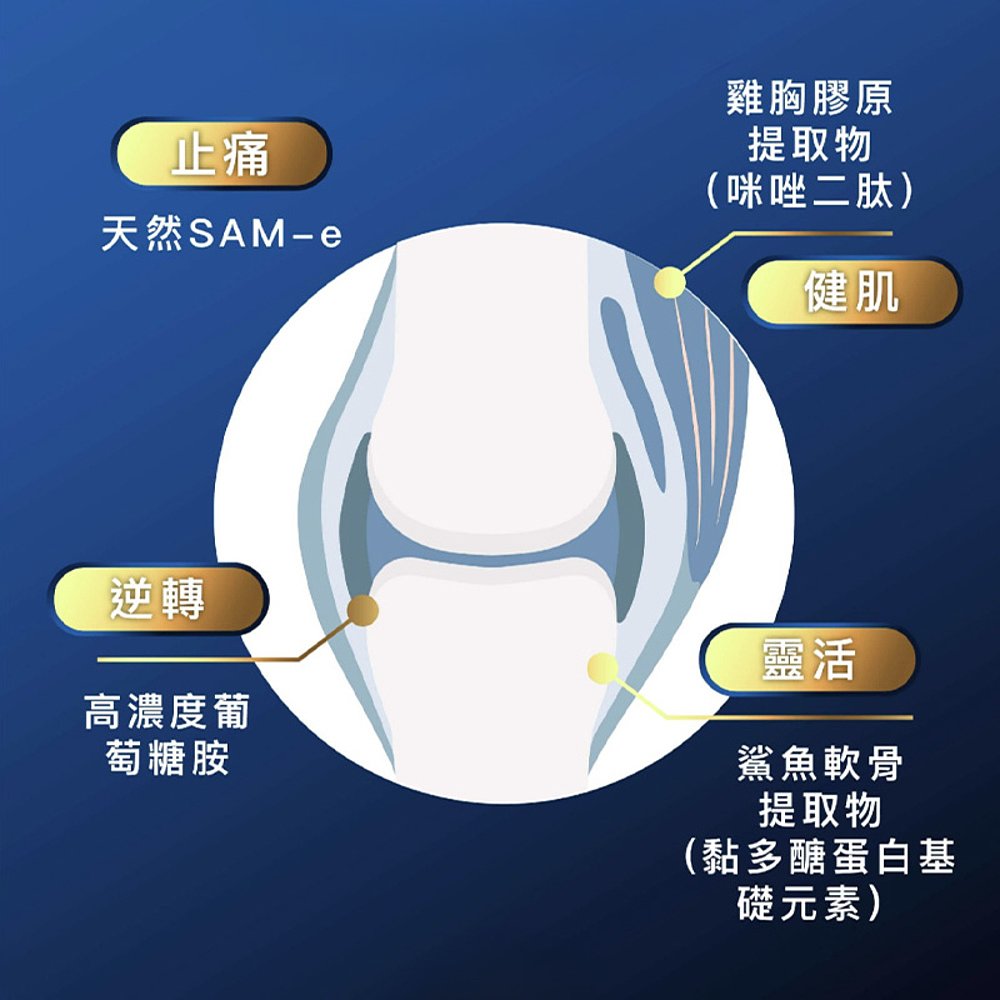 香港直邮Return骨关节筋肌氨糖软骨素中老年护关节疼痛 240粒 - 图2