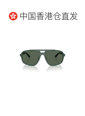 1h可退 香港直邮EMPORIO ARMANI 男士太阳镜 EA4236U619071 AW202