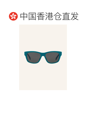 香港直邮CELINE 女士太阳镜 100152183617000 CO 花色 Sunglasses
