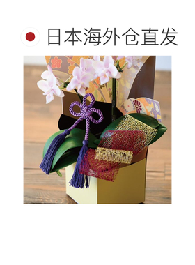 日本直邮HEADS 紫色组绳花插 6×15(23.5cm) 5本 KM-Y3