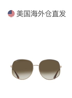 自营Salvatore Ferragamo Green Gradient Oval Ladies Sunglasse