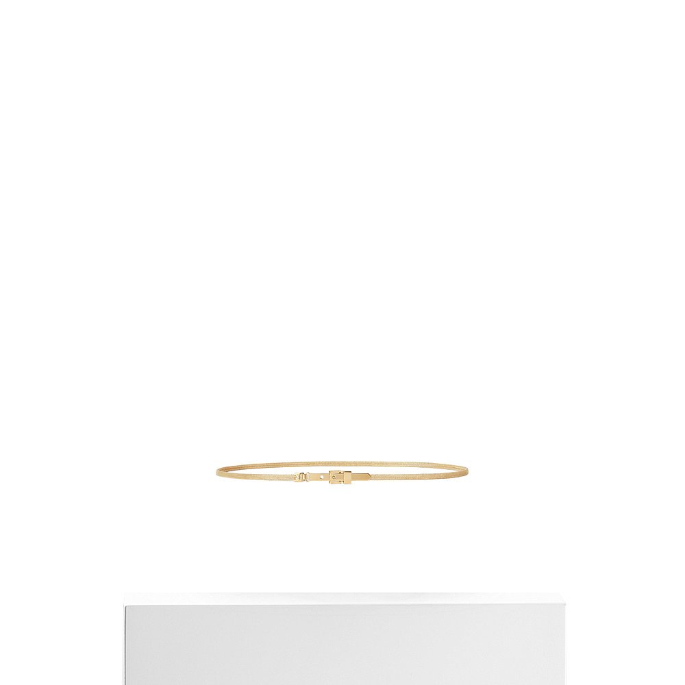FENDI Women's Belt 8C0751NQ9F0CFK AW2025 Color FF Belt Thin Belt