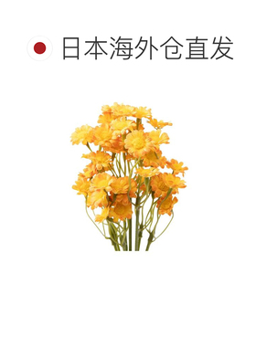 日本直邮Francfranc 橙色小雏菊仿真花束