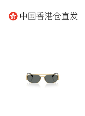 香港直邮VERSACE 男士眼镜 VE2287100287 CO 灰色 全框太阳镜
