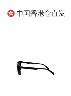 香港直邮EMPORIO ARMANI 男士太阳镜 0EA421950016G SS2025
