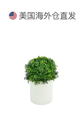 自营 creative displaysCreative 在圆柱形播种机中展示抗紫外线