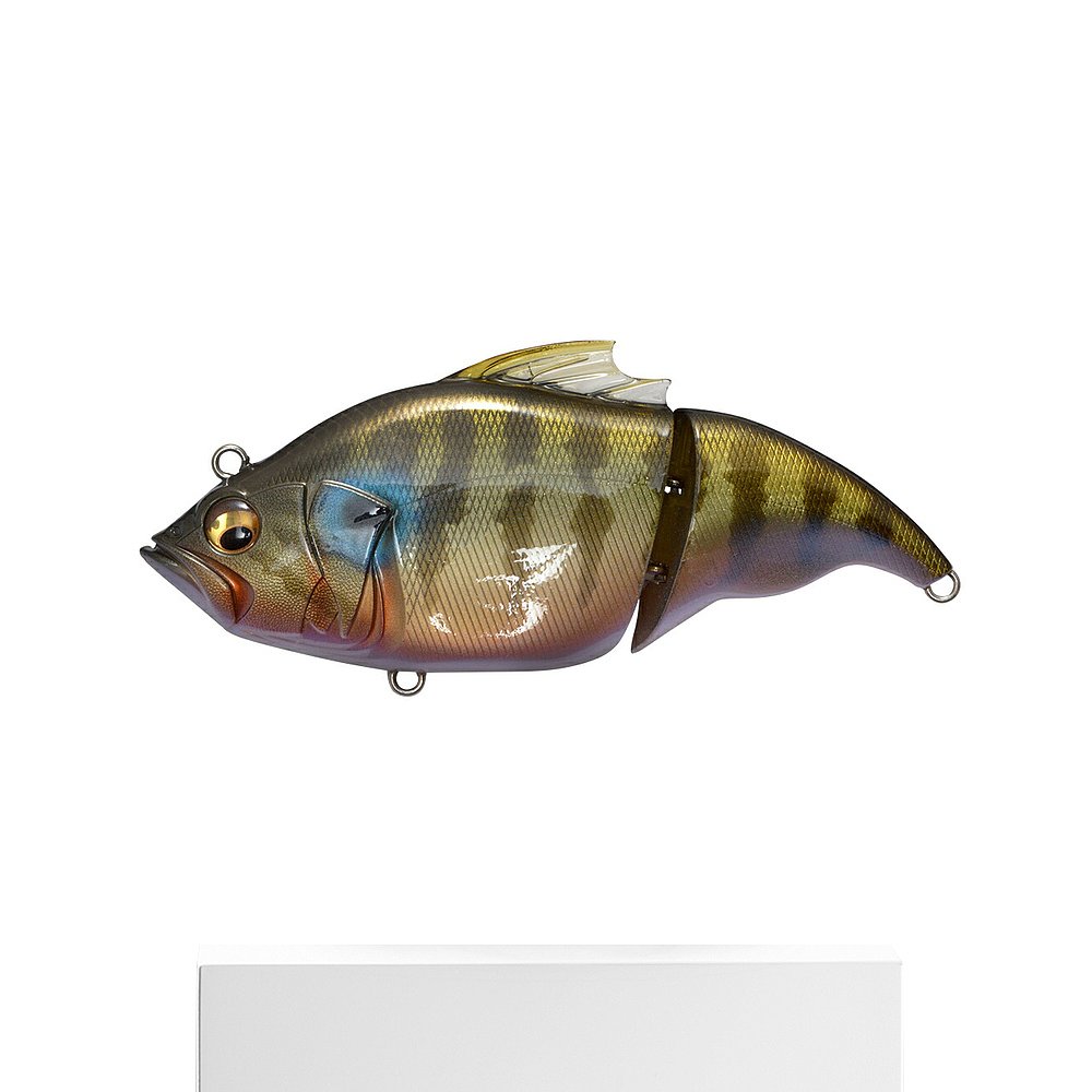 日本直邮低音 VATALION(F)（Vatalion Floating） ITO Cichlid - 图3