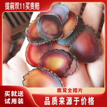 Antler slice First class full wax sheet with blood foot nutrition rich Jilin Changchun antler bubble water to soak in the wine