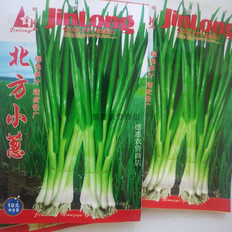 东北农家四季小葱北方香葱种子味道好多汁高产型不空心绿色蔬菜_虎窝淘
