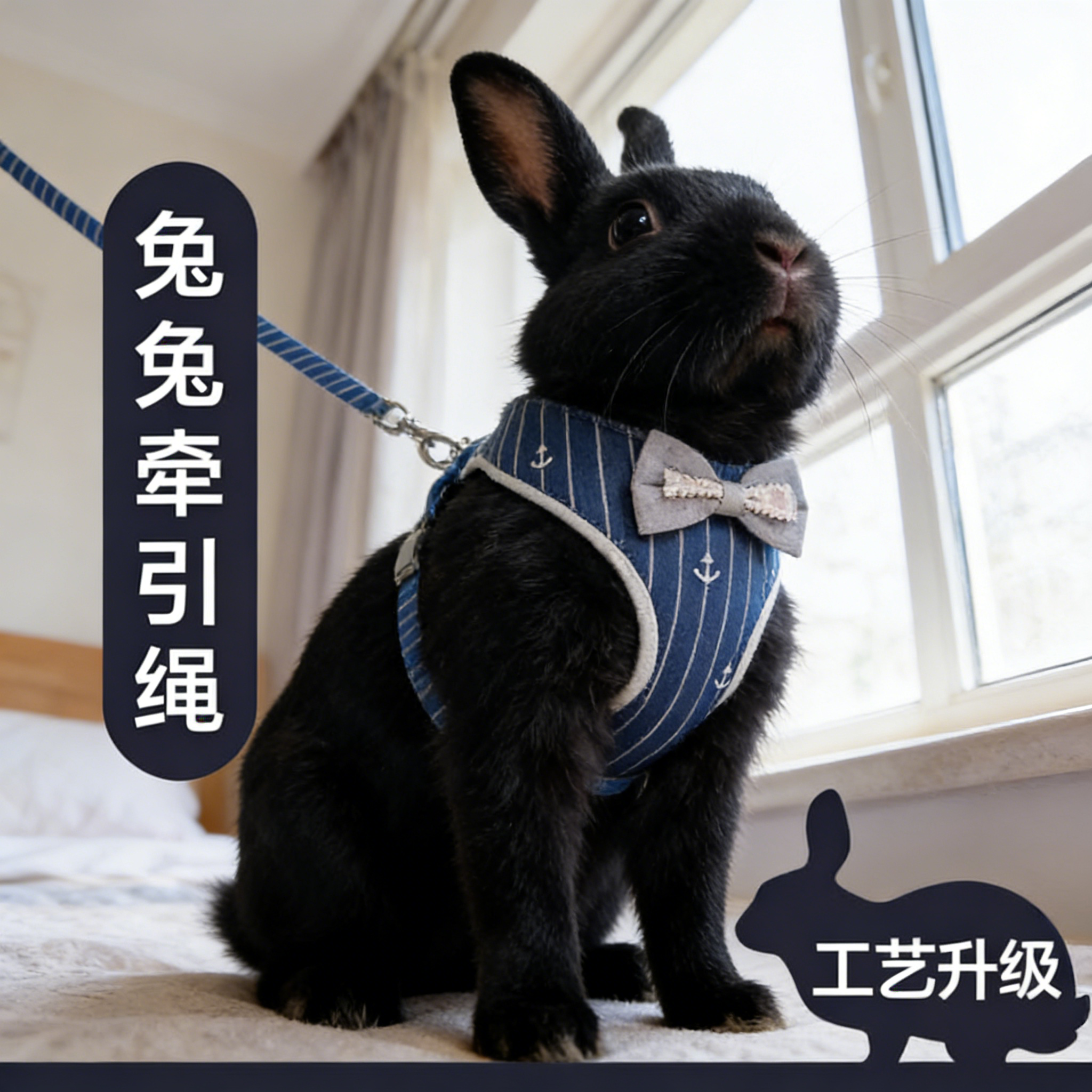 垂耳兔兔子牵引绳夏季背心防咬挣脱链子外出专用宠物兔兔溜兔神器,淘宝优惠券,粉丝福利购,淘宝优惠卷