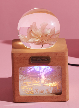 樱花木制创意女生情侣老师标本