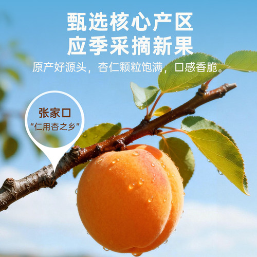 每果时光原味杏仁500g甜南杏仁无添加熟新货烘焙年货特产坚果零食 - 图0