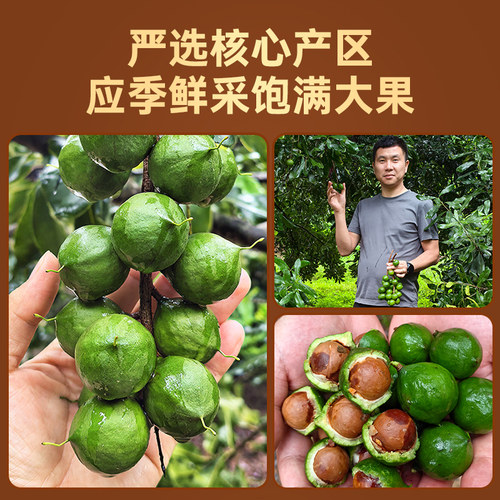 每果时光新货夏威夷果500g奶香量贩散装孕妇休闲原味坚果健康零食 - 图0