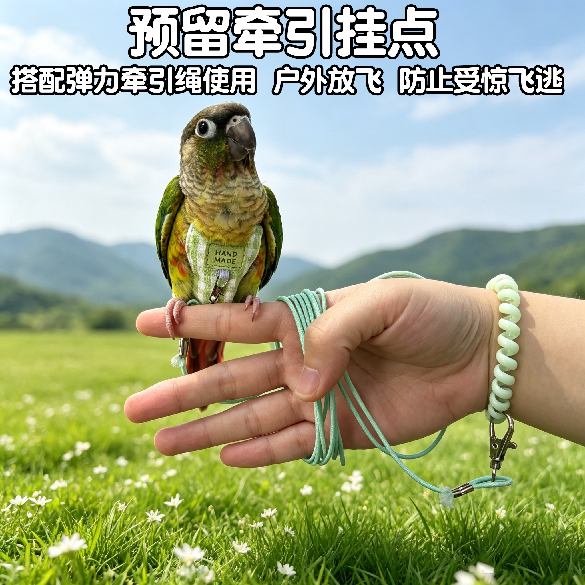 图4