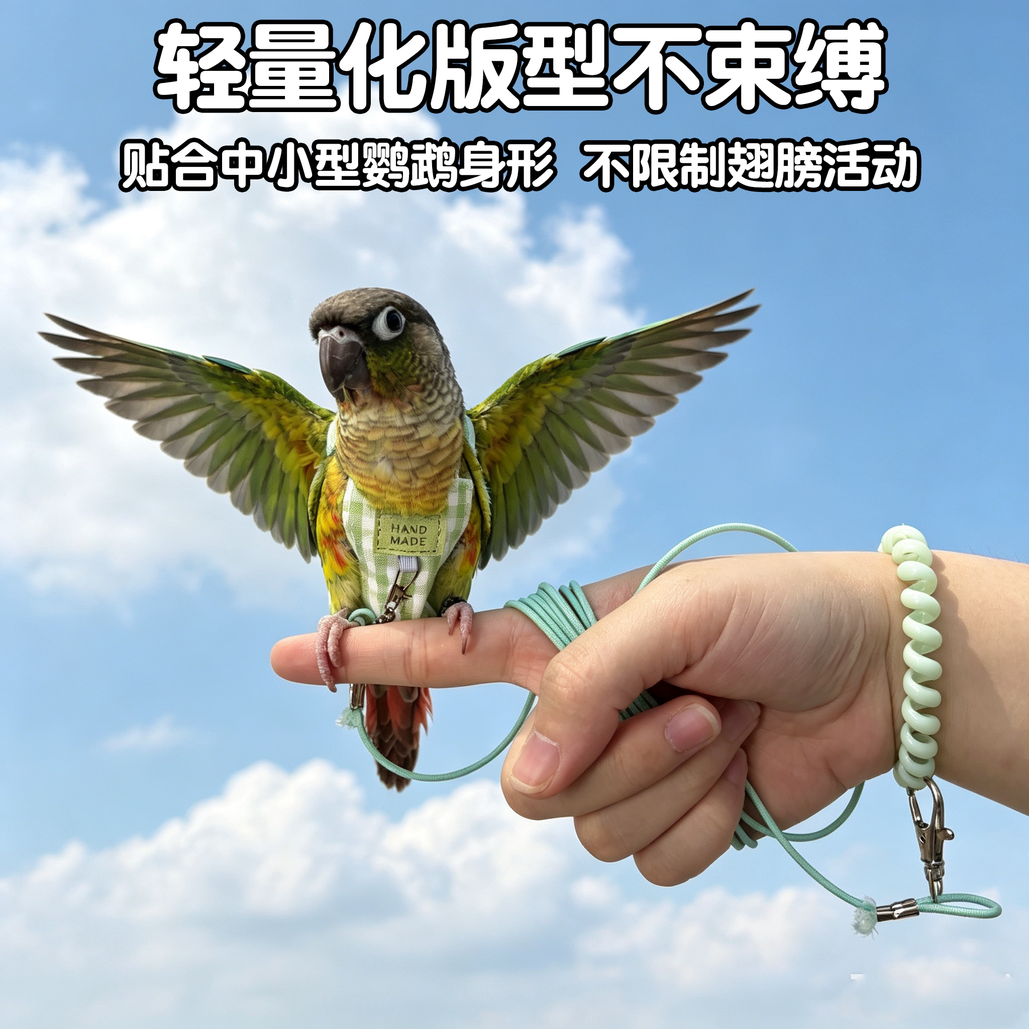 图5
