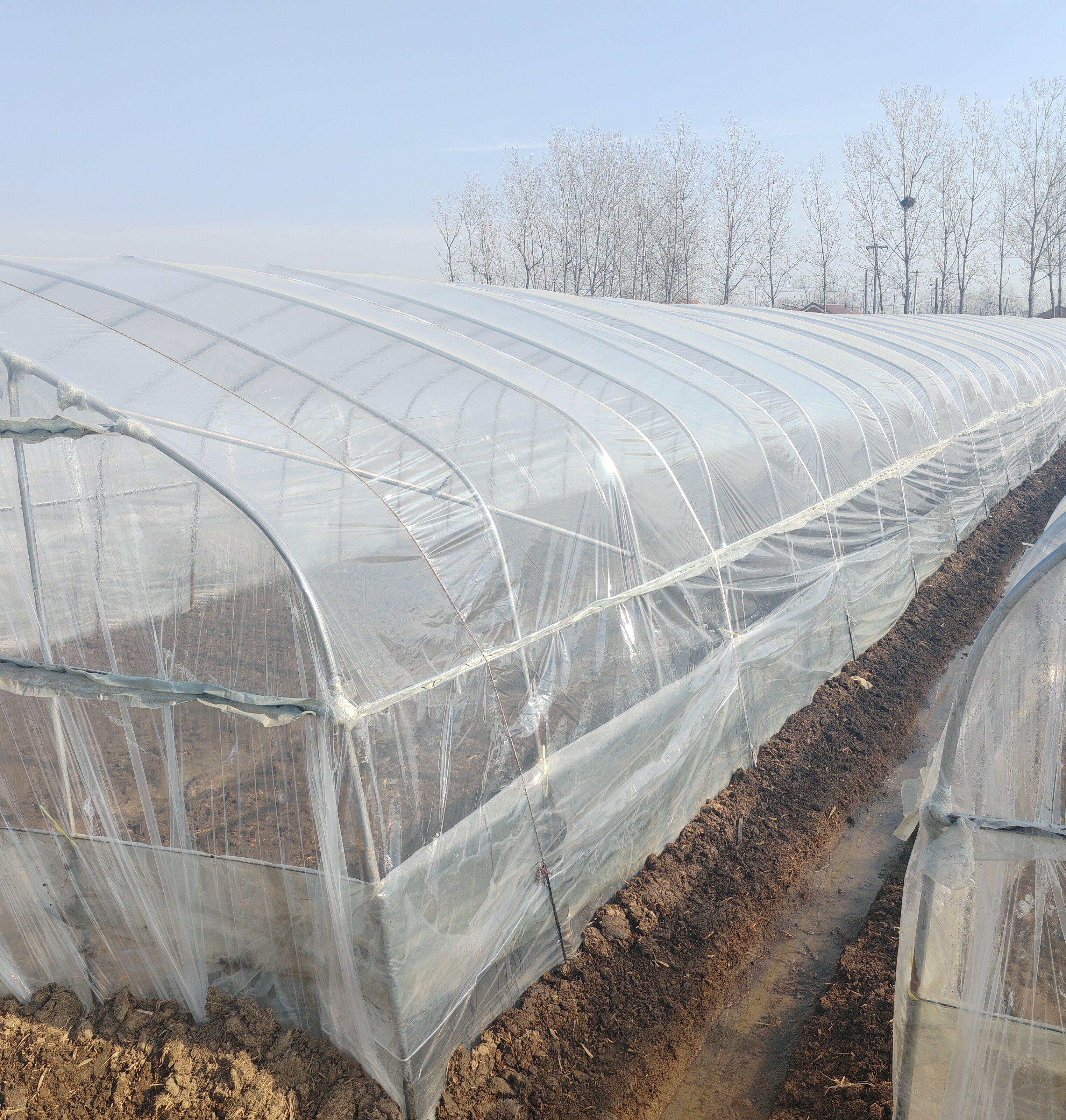 白色大棚膜PO无滴膜长寿温室蔬菜花卉养殖透光保温防雨防晒塑料布,淘宝优惠券,粉丝福利购,淘宝优惠卷