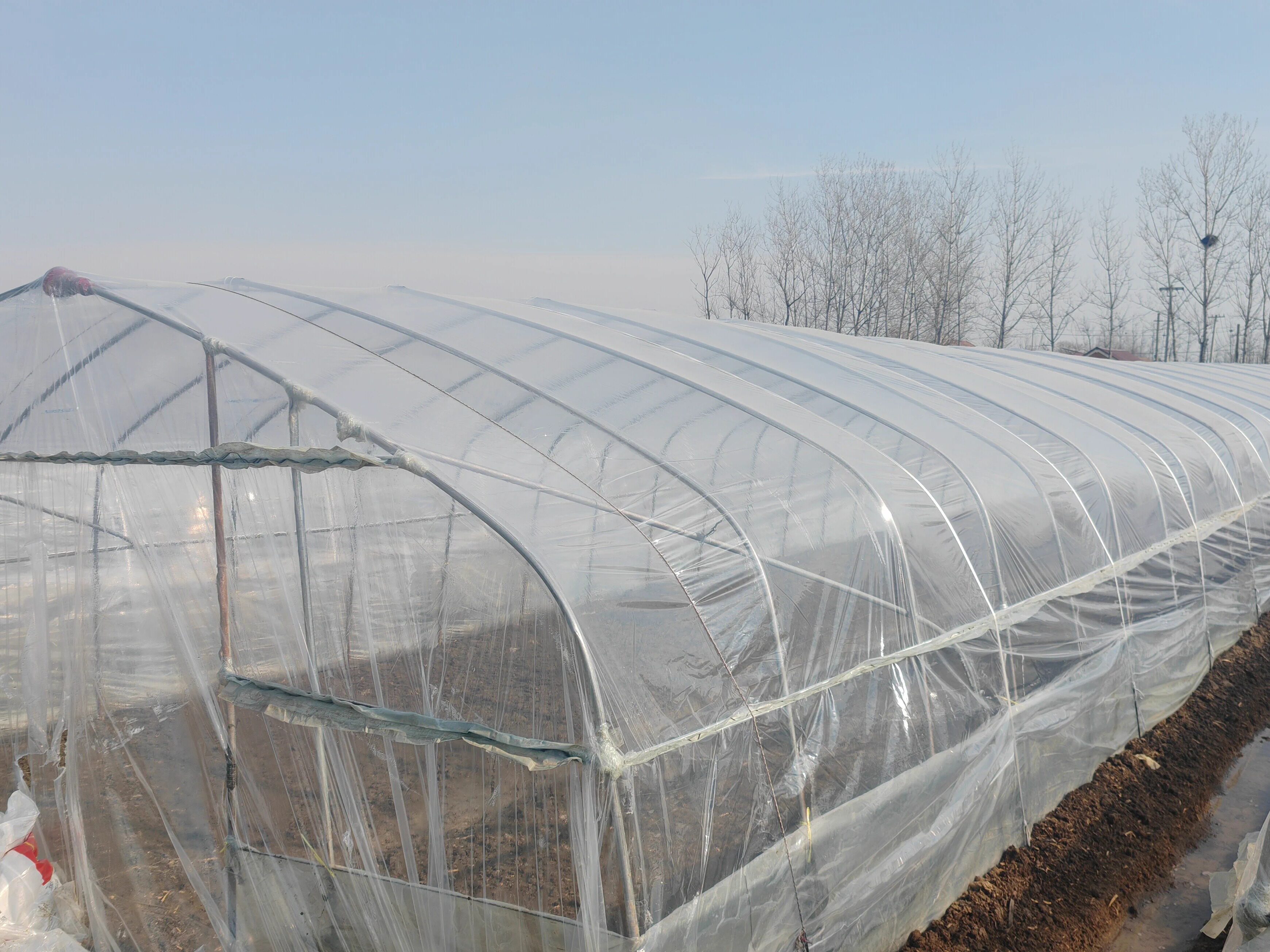 白色大棚膜PO无滴膜长寿温室蔬菜花卉养殖透光保温防雨防晒塑料布,淘宝优惠券,粉丝福利购,淘宝优惠卷