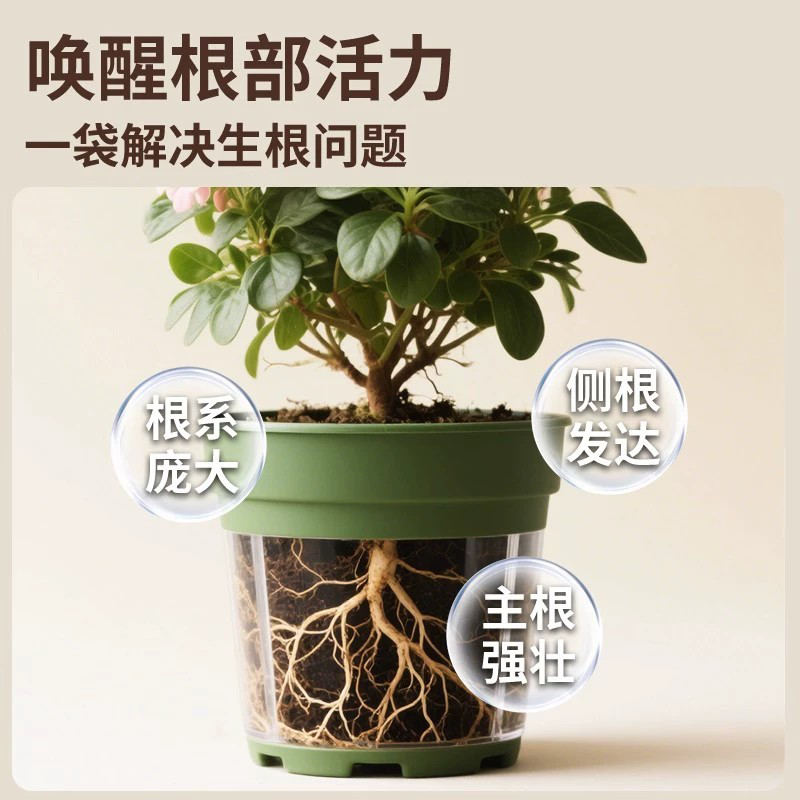 生根粉树木移栽花卉树木快速缓苗植物通用生根壮苗改善土壤肥料,淘宝优惠券,粉丝福利购,淘宝优惠卷