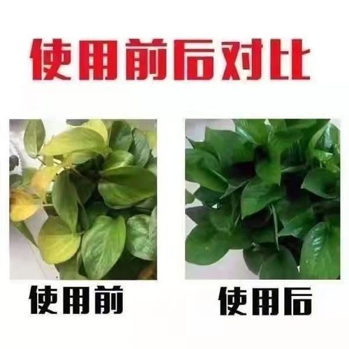 氮磷钾三元复合肥蔬菜农用种菜花卉果蔬有机肥料养花通用型100斤