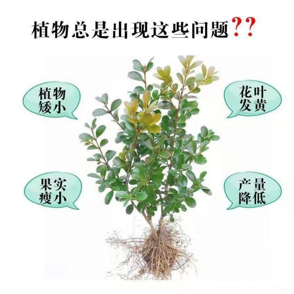 复合肥蔬菜农用种菜肥100斤花卉果树通用型颗粒氮肥速溶营养化肥 - 图2