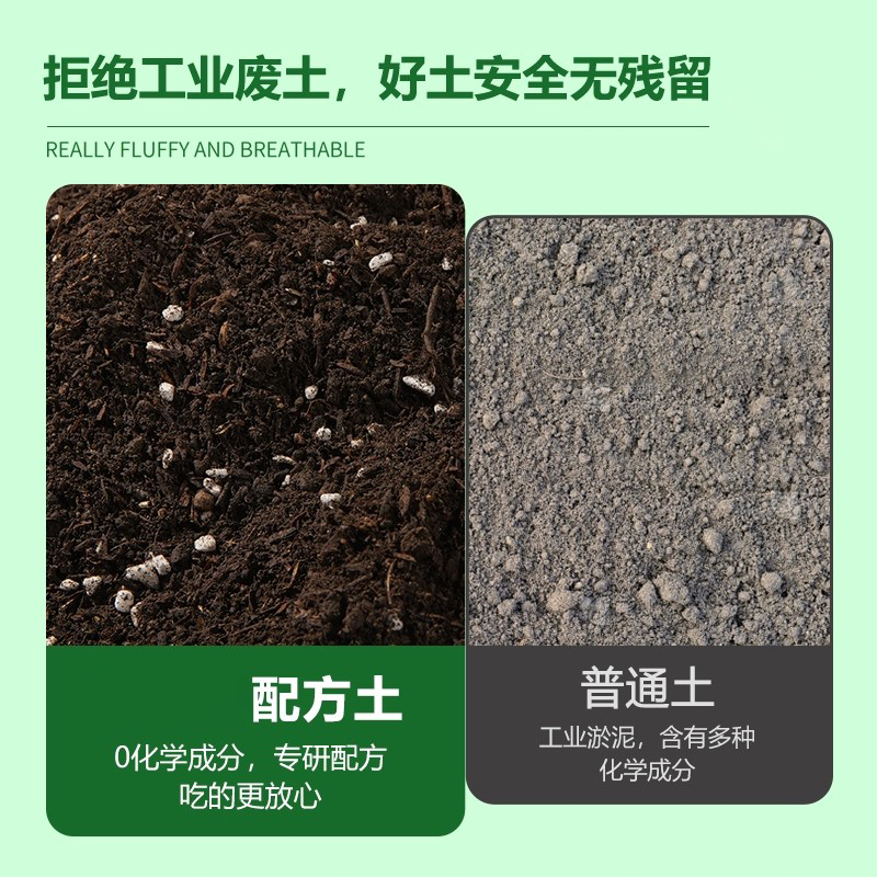 发财树专用肥料营养土种菜专用花卉通用优质包邮阳台盆栽有机土,淘宝优惠券,粉丝福利购,淘宝优惠卷