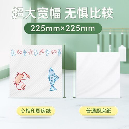 心相印厨房用纸厨房纸巾专用卷纸干湿两用吸油吸水一次性去油污 - 图0