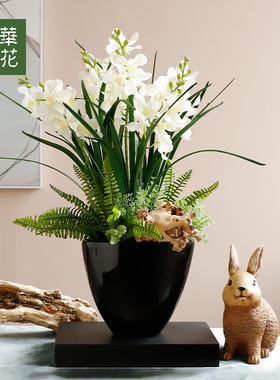 盆景晶华桌面玄关洗手间桌面摆件