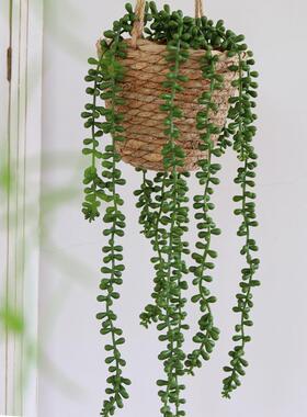 跨境人造假悬挂植物园艺
