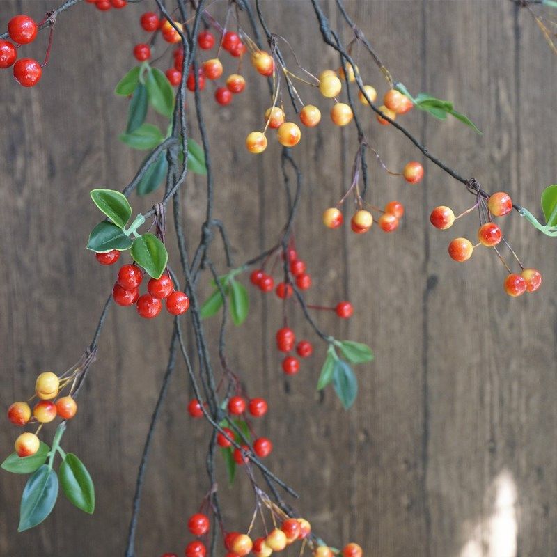 仿真野果蔓越莓长枝浆果蓝莓藤条壁挂花卉室内装饰水管缠绕细藤枝,淘宝优惠券,粉丝福利购,淘宝优惠卷