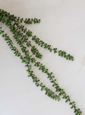 跨境人造假悬挂植物人造多肉情人泪假植物珍珠串佛珠园艺婚礼盆栽