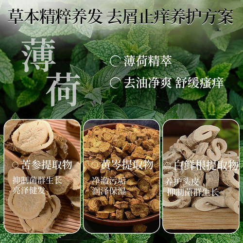 霸王洗发水去屑止痒控油蓬松去油洗发露洗头水柔顺持久留香洗发膏 - 图1