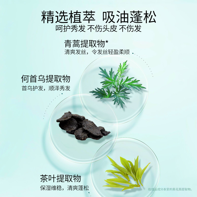  霸王免洗洗发水/喷雾