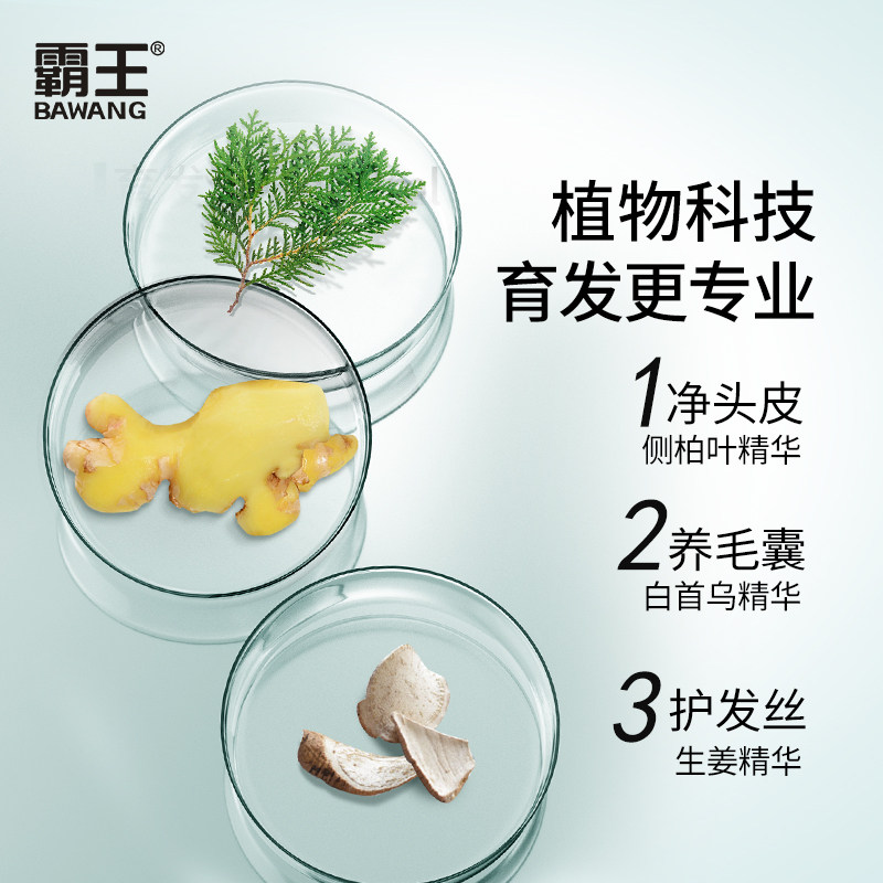 霸王育发防脱发套装控油男女洗头膏 霸王洗发水