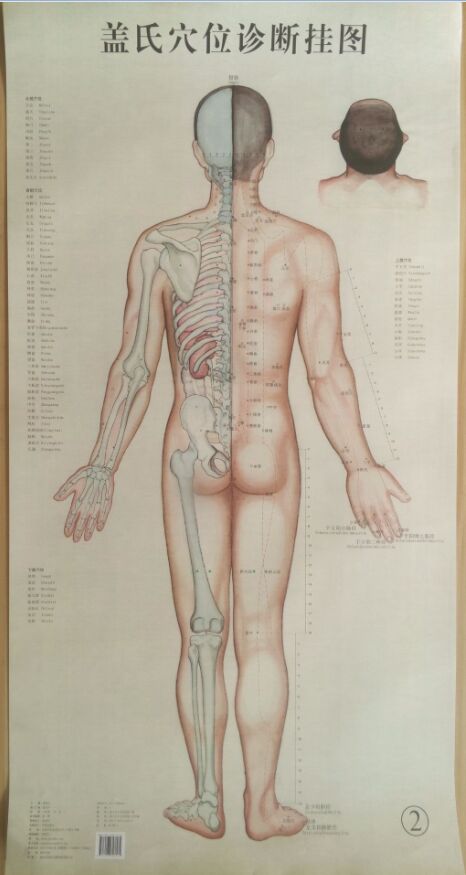 现货 盖氏穴位诊断挂图 盖国才主编 学苑出版社 - 图1