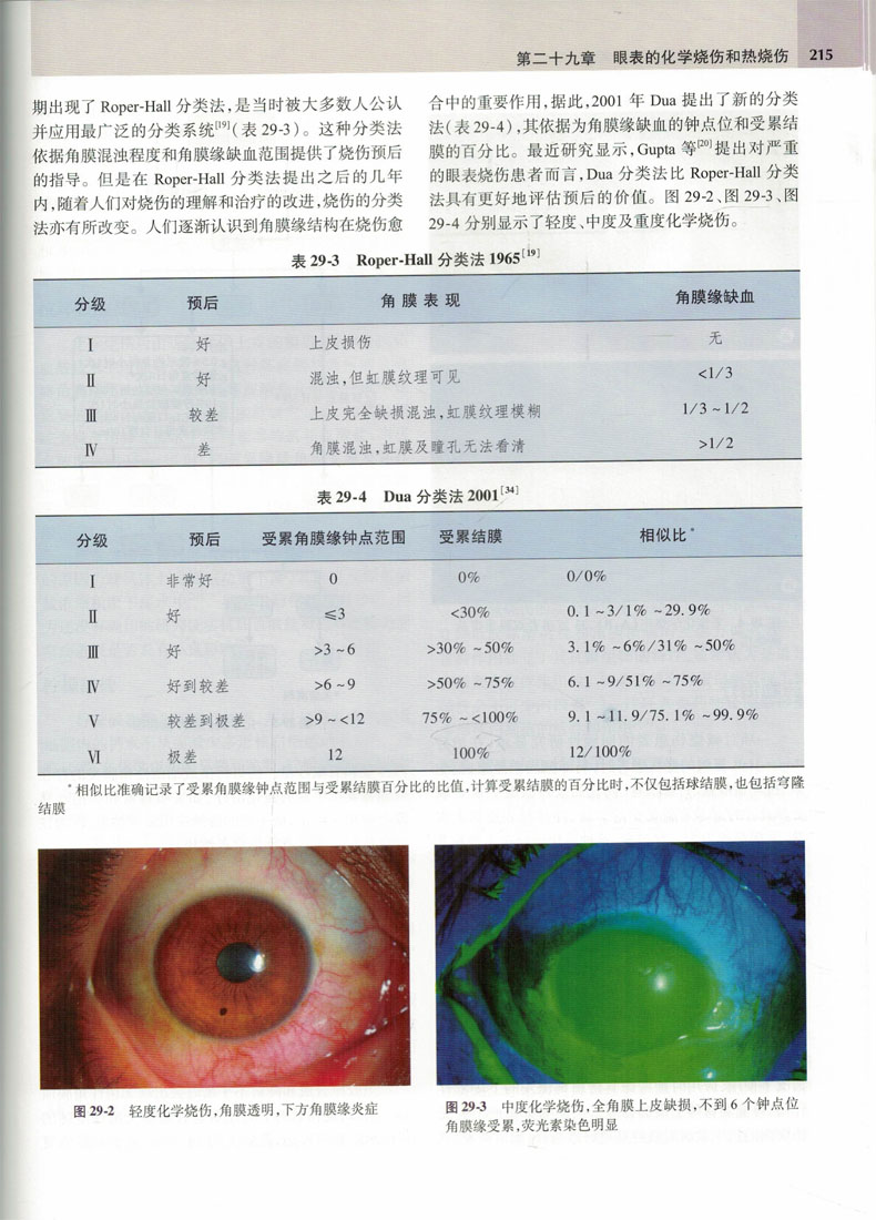 现货 眼表疾病角膜、结膜和泪膜 洪晶主译 人民卫生出版社 - 图3