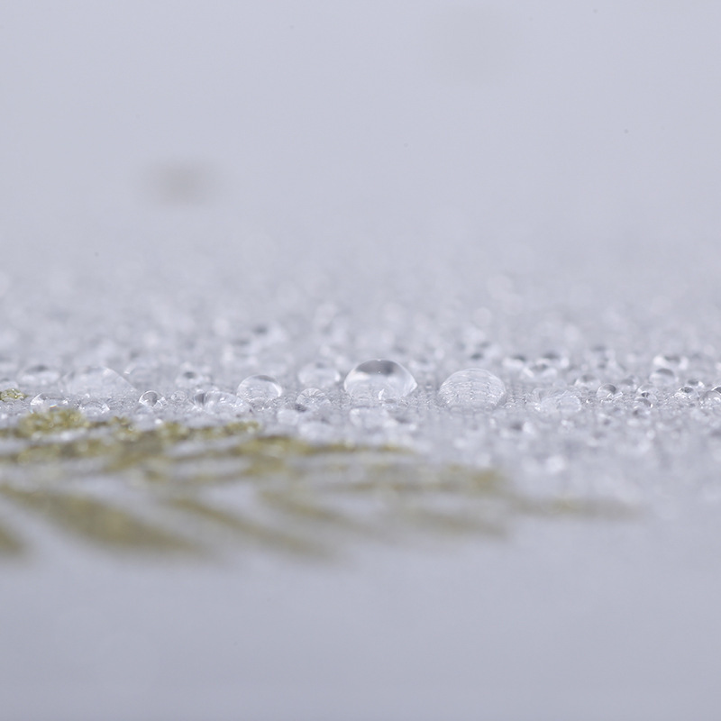 日本进口MUJIE全自动雨伞防晒防紫线羽毛小清新女学生晴雨两用三 - 图3